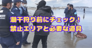 【初心者】初めての潮干狩り！ルールや持ち物リストなど基本情報ガイド